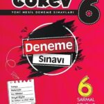 Nitelik Yayinlari 6. Sinif Gorev 6 Sarmal Deneme hazirlikkitap