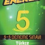 Palme Yayinlari 5. Sinif Turkce 5 5 Deneme Sinavi hazirlikkitap