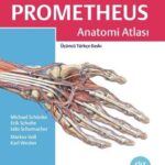 Palme Yayinlari PROMETHEUS Anatomi Atlasi Cilt 1 hazirlikkitap