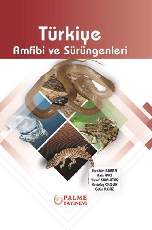 Palme Yayinlari Turkiye Amfibi ve Surungenleri hazirlikkitap